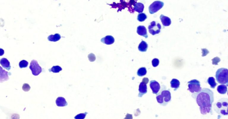 Cytology sample cellularity